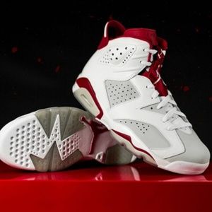 AIR JORDAN 6 “ALTERNATE ’91” Size 11